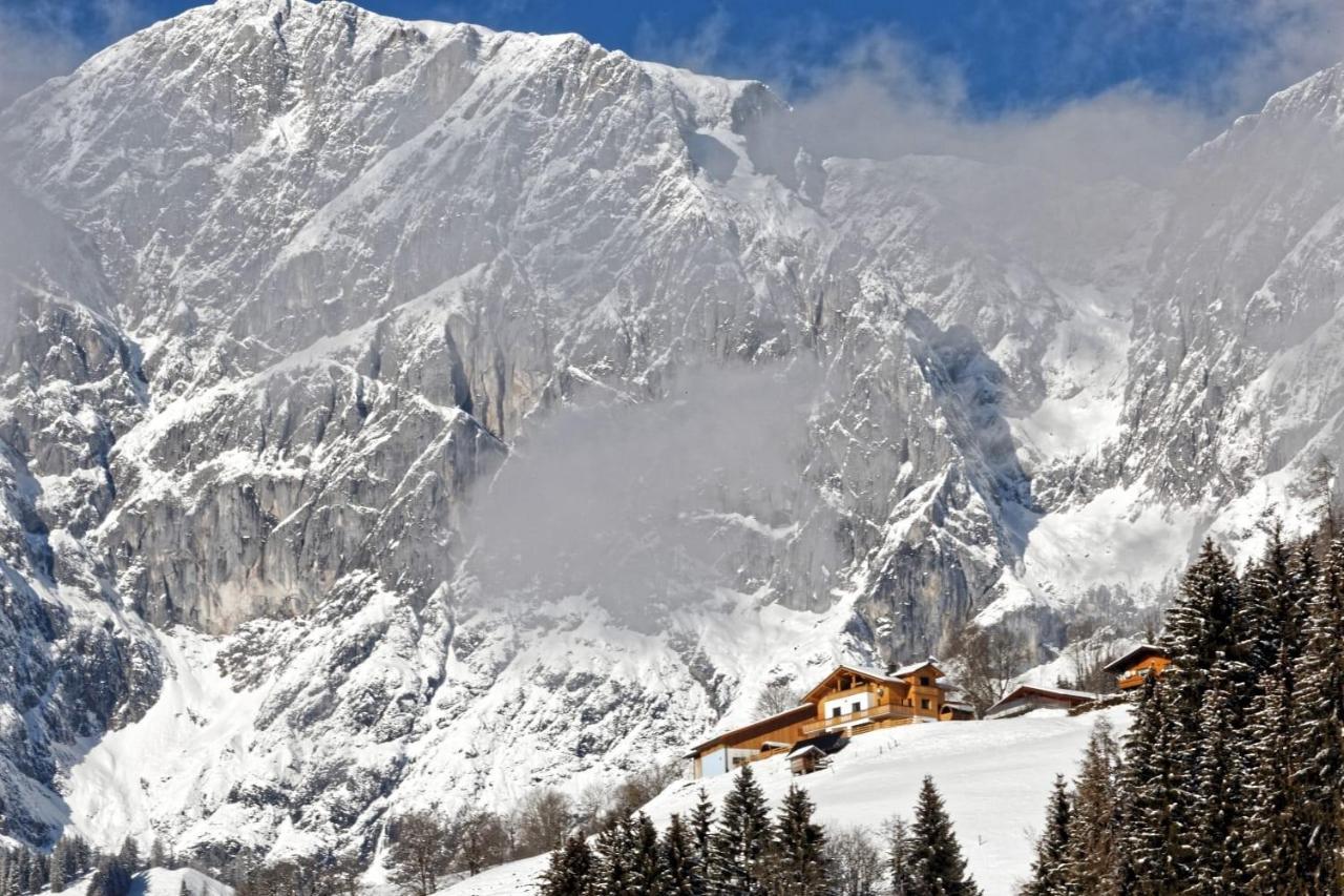 Gut Stein Panoramalodge Muhlbach Am Hochkonig Luaran gambar