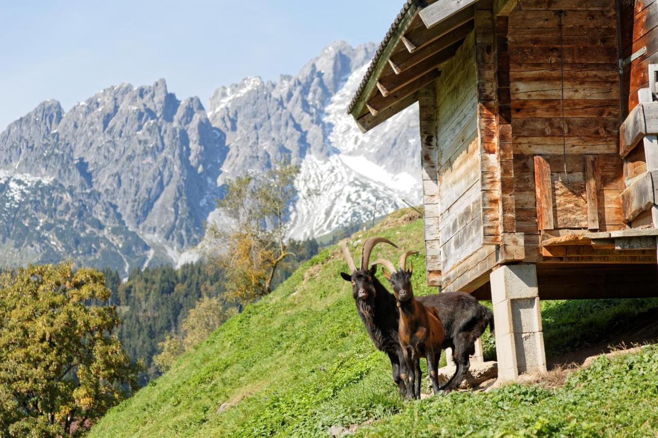 Gut Stein Panoramalodge Muhlbach Am Hochkonig Luaran gambar