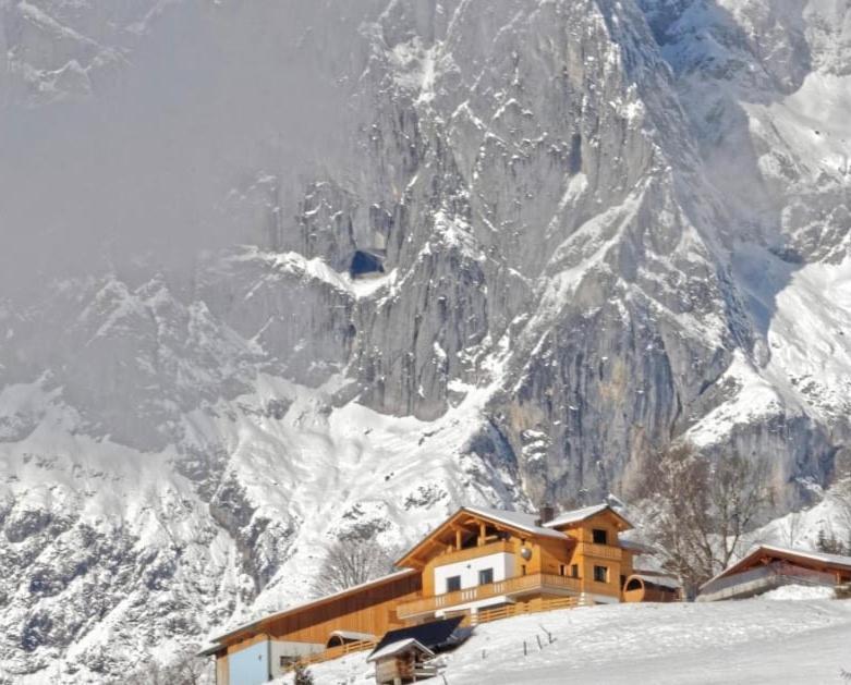 Gut Stein Panoramalodge Muhlbach Am Hochkonig Luaran gambar