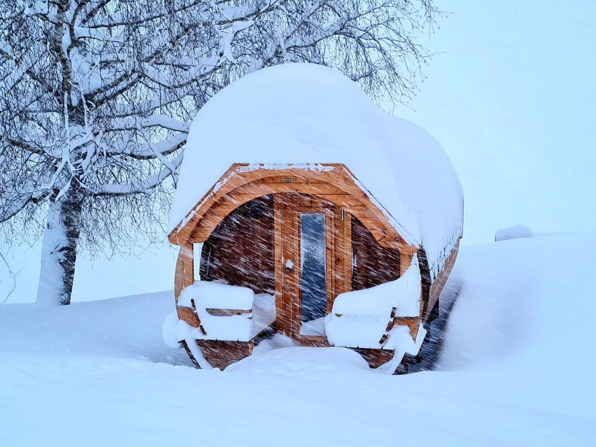 Gut Stein Panoramalodge Muhlbach Am Hochkonig Luaran gambar