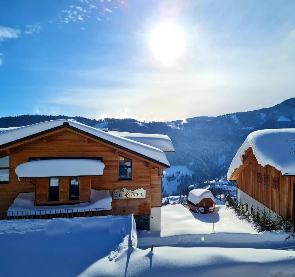 Gut Stein Panoramalodge Muhlbach Am Hochkonig Luaran gambar